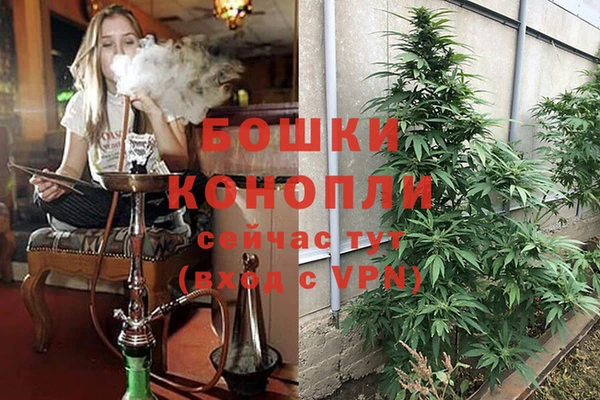 спайс Волоколамск