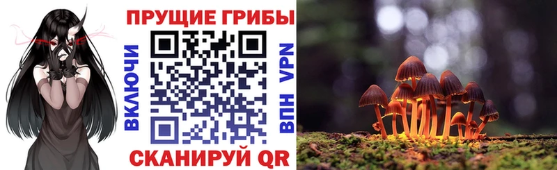 Псилоцибиновые грибы GOLDEN TEACHER  Вилючинск 
